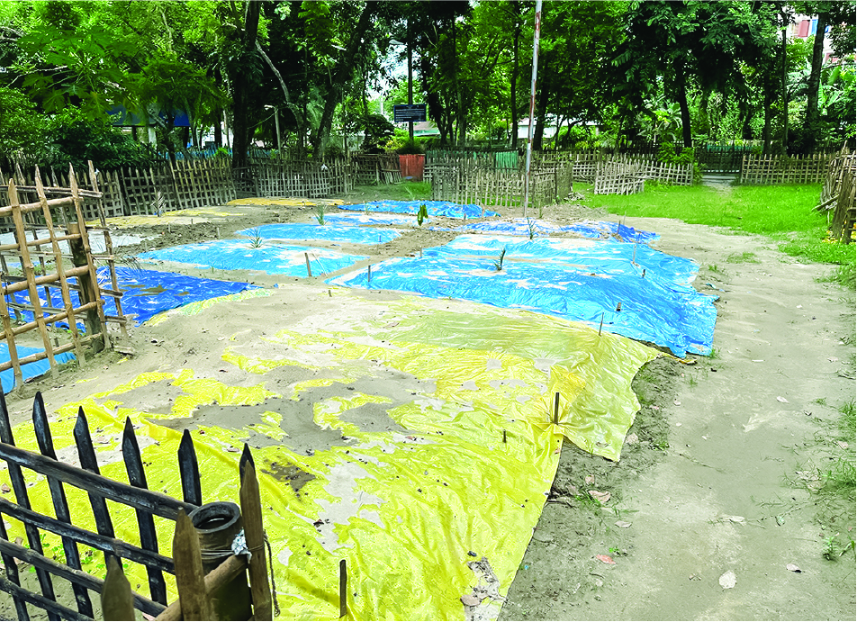 Image of আব্দুল্লাহ আল তাহির